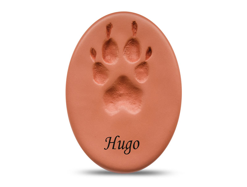Precious Paw - Clear Coat Image