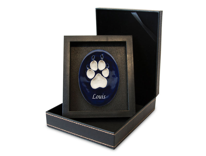 Lasting Paws Vibrant Collection - Blue Image