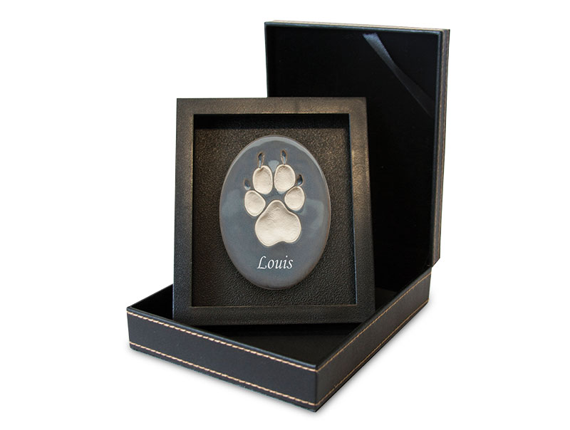 Lasting Paws Vibrant Collection - Grey Image